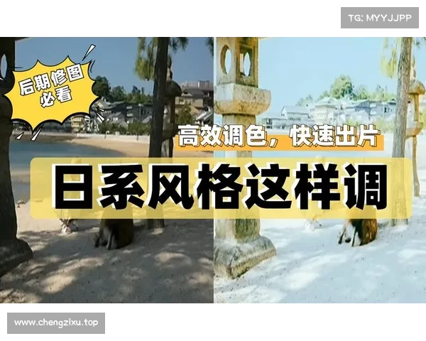 漫天星河征战记:极致攻略指南,点亮你的苍穹