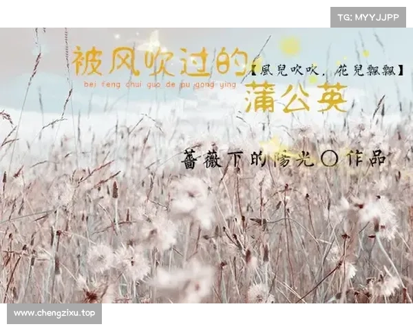逐风而翔:蒲公英攻略指南 逐风而翔:蒲公英攻略指南